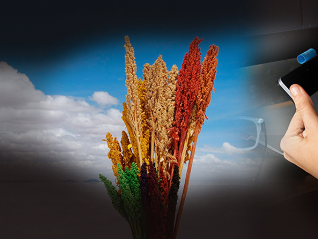 SENAPI IMPULSA LA PROTECCION DE LA PROPIEDAD INTELECTUAL EN FERIA GASTRONÓMICA COMUNITARIA